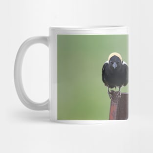 The name's Bobo...Bobolink Mug